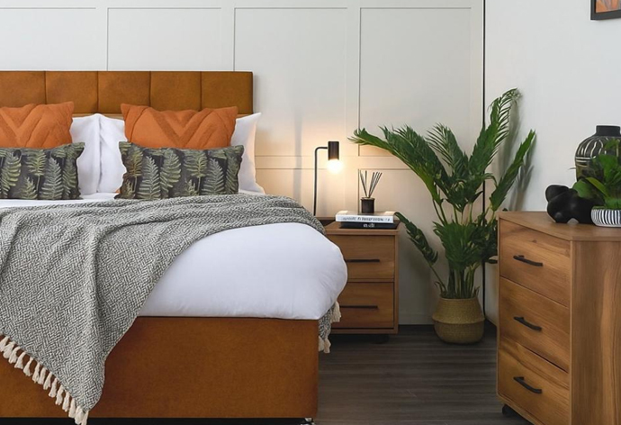 Solo HMO Package